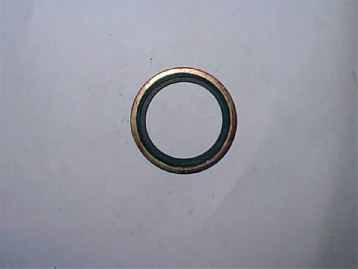 Seal Ring R1 1/4 Log Max RE601106