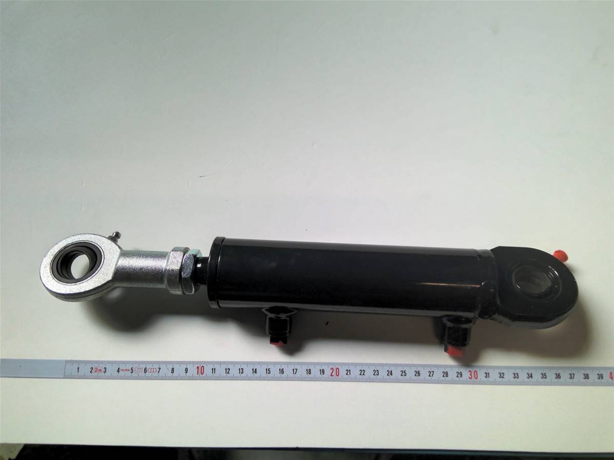 Hydraulic cylinder Log Max RE015669