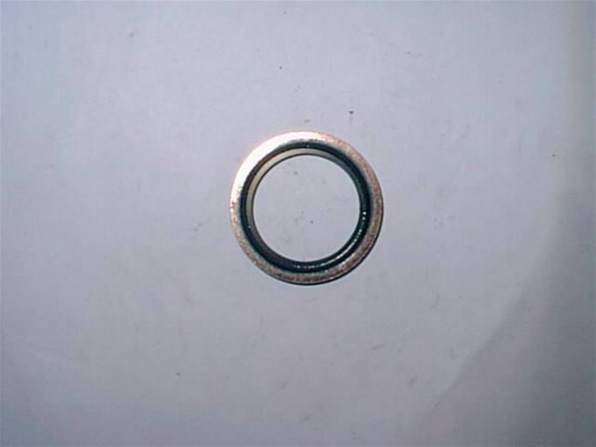 Seal Ring 1'' Log Max RE601105
